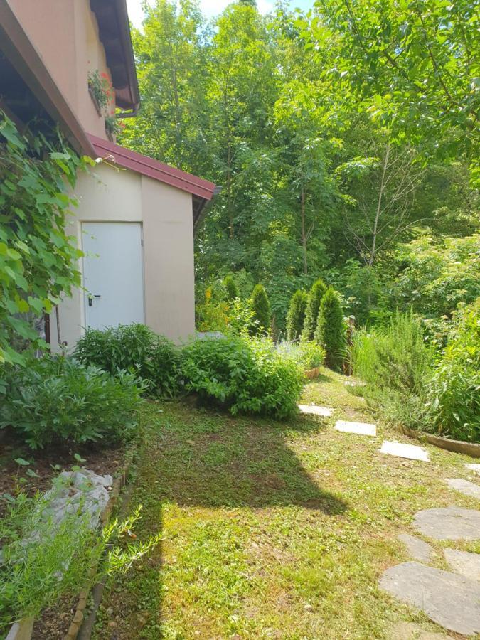 Apartment With Terrace Nona Pavla Tolmin Exterior photo